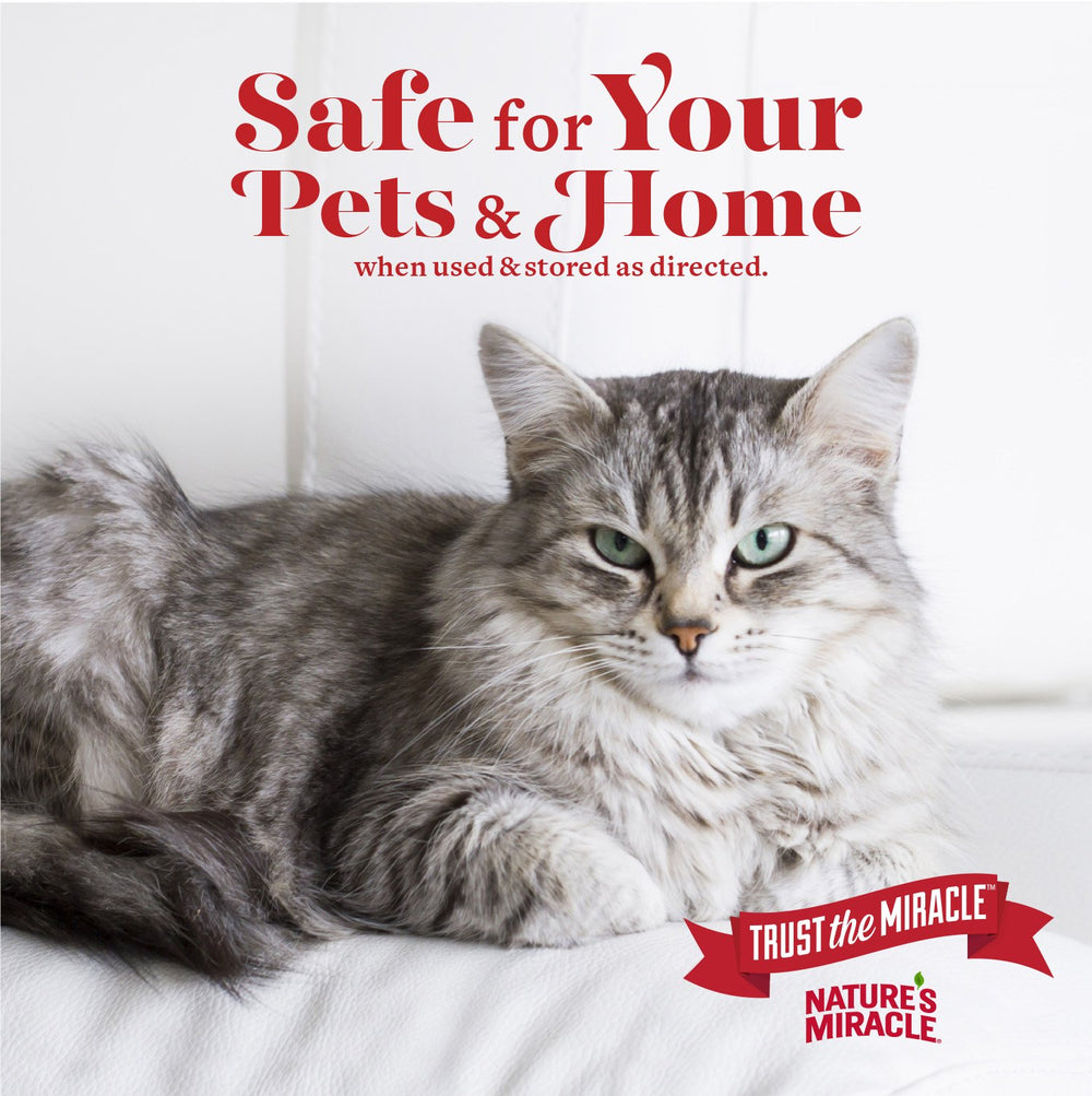 Nature's Miracle Advanced Stain & Odor Eliminator used on carpets to remove odors