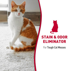 Nature's Miracle Advanced Stain & Odor Eliminator Foam carpet-penetration action on mess