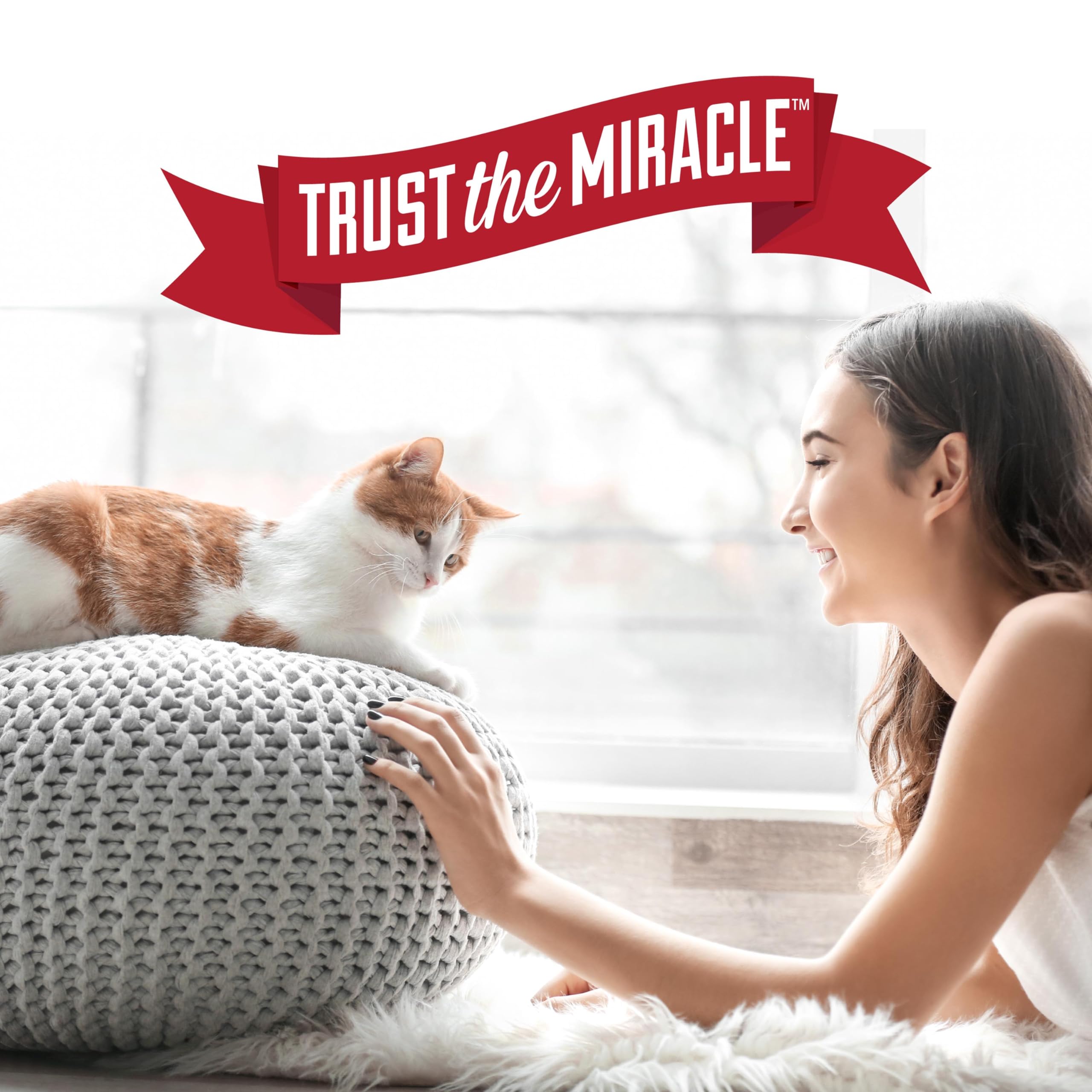 Nature's Miracle Advanced Stain & Odor Eliminator Foam foaming aerosol in use