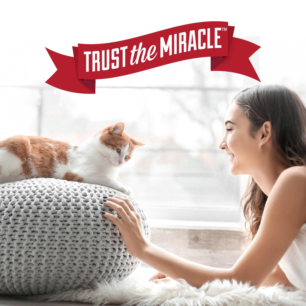 Nature's Miracle Advanced Stain & Odor Eliminator Foam foaming aerosol in use