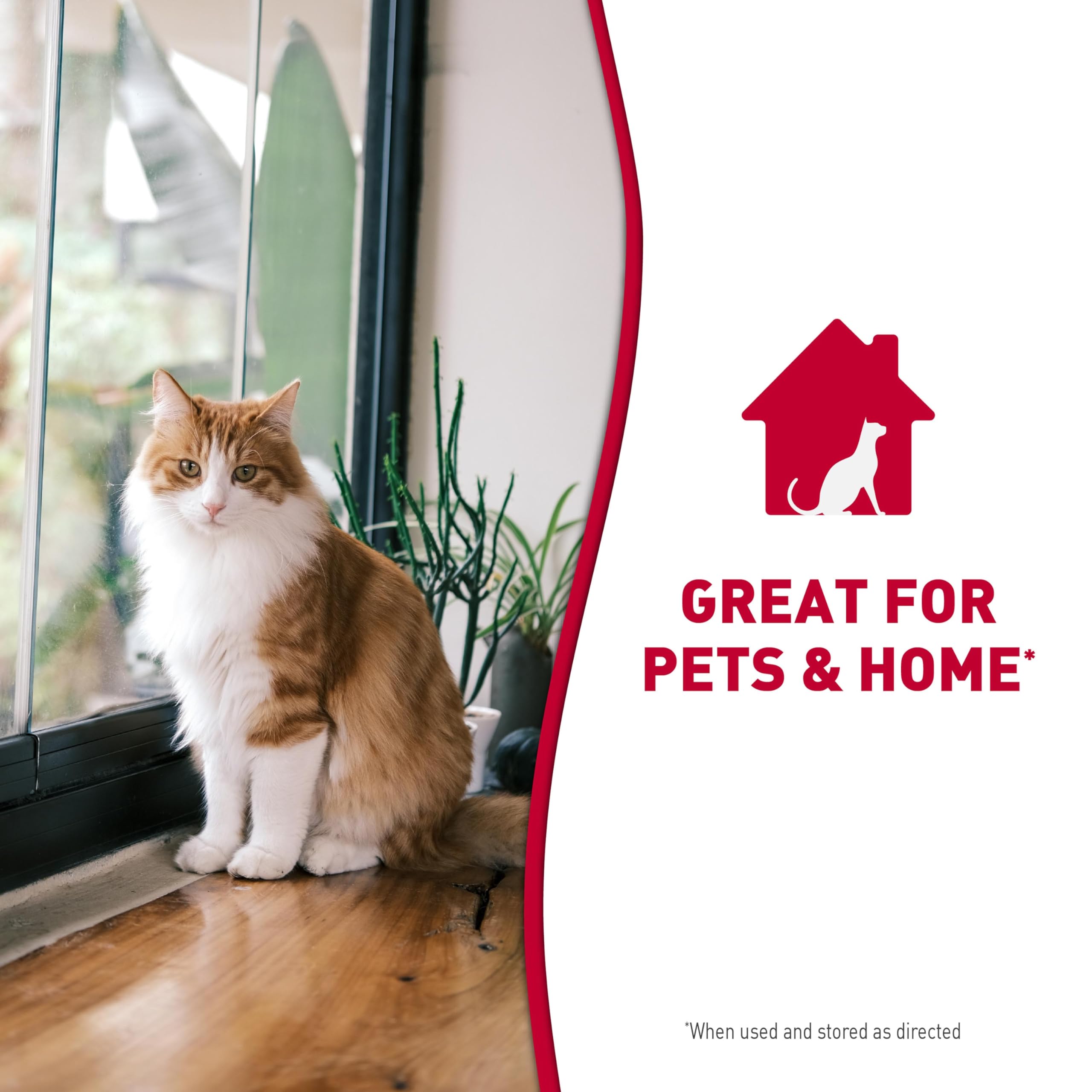 Nature's Miracle Advanced Stain & Odor Eliminator Foam shown as safe for homes with pets when used as directed