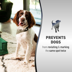 Nature's Miracle Advanced Platinum No More Marking indoor training scene helps prevent dogs from returning