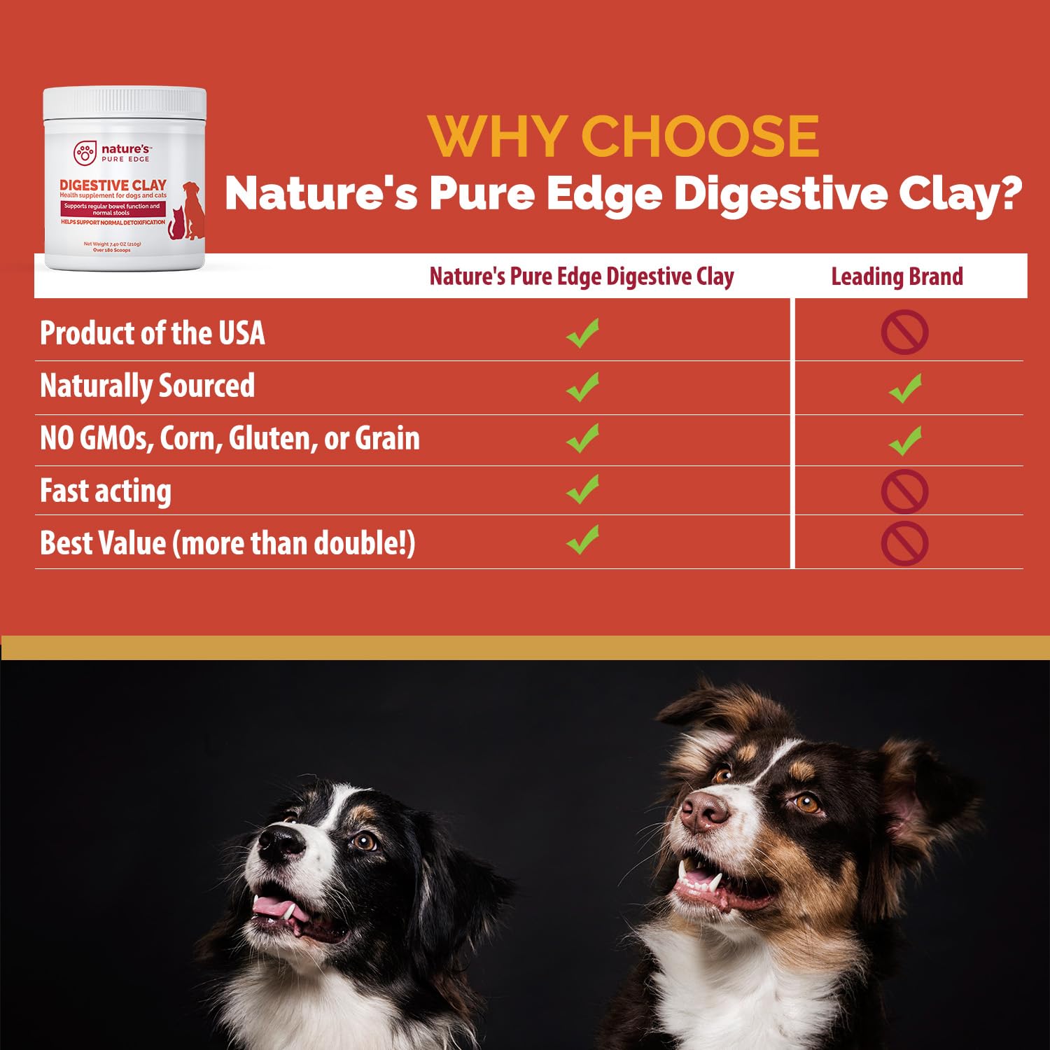 Nature's Pure Edge dog-cat digestive-support bowl demonstrates convenient gut-friendly care.