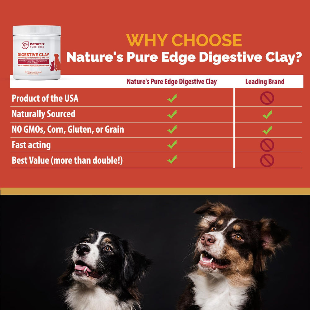 Nature's Pure Edge dog-cat digestive-support bowl demonstrates convenient gut-friendly care.