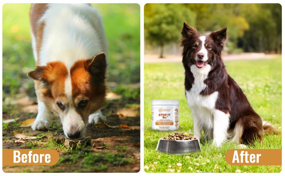 Nature's Pure Edge No Poop Eating Dogs breath-aid formula promotes fresher breath after meals.