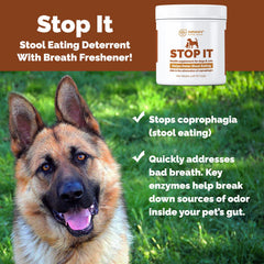 Nature's Pure Edge No Poop Eating Dogs ingredients scene highlights enzymes, parsley, and odor-absorbing minerals.