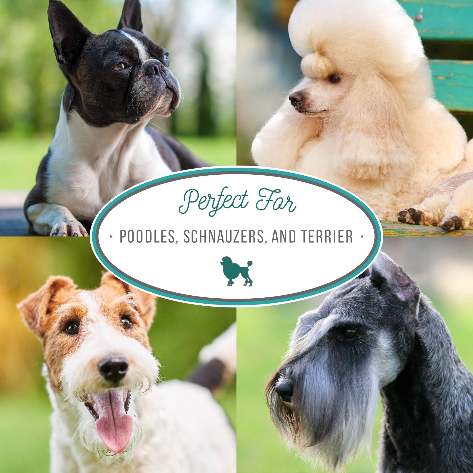 Nature's Specialties Almond Crisp clean coat after wash emphasizes added volume and texture.