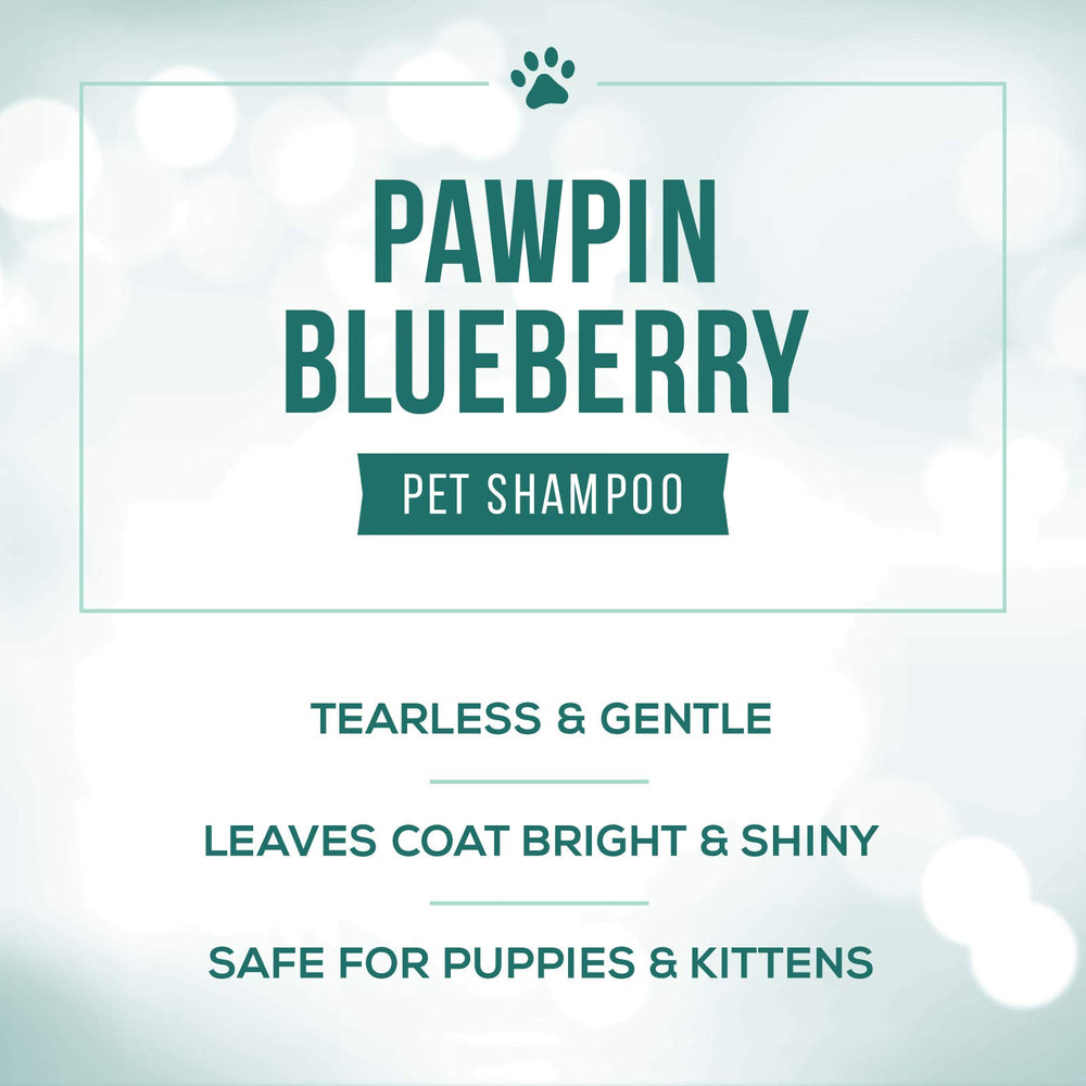 Nature's Specialties Pawpin' Blueberry foamy lather for gentle cleansing