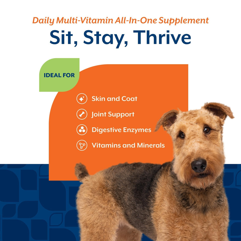 NaturVet All-in-One digestive enzymes and probiotics for better nutrient absorption
