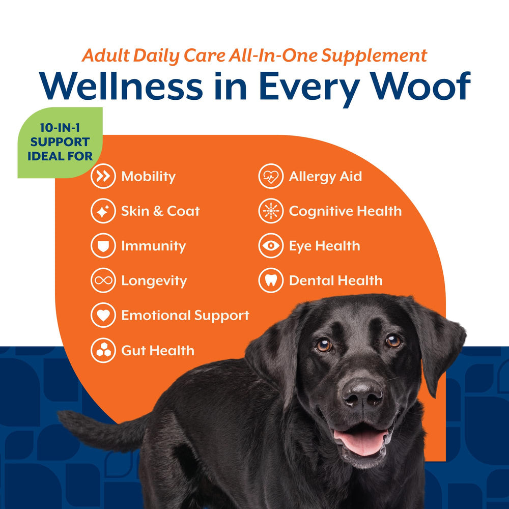 NaturVet All-In-One dog daily care cognition eyes chews support focus and eye health