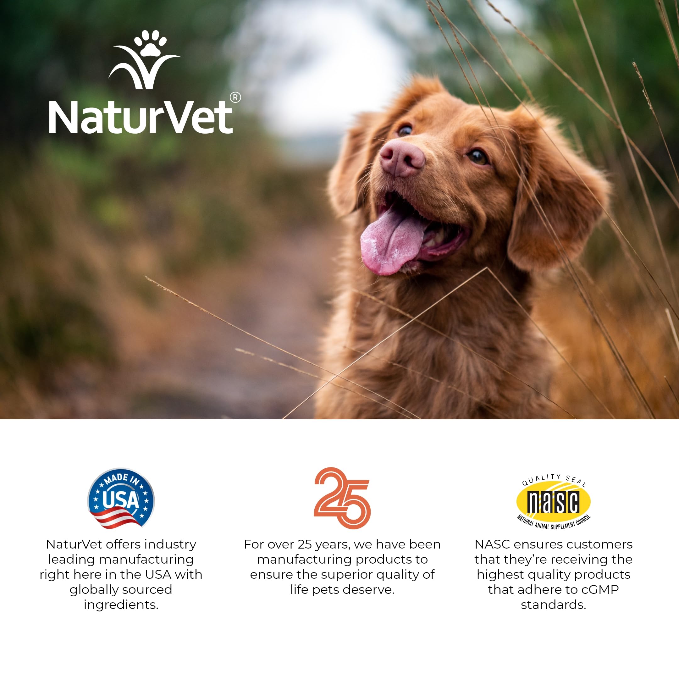 NaturVet All-in-One dog supplement offers a balanced vitamin and mineral blend for well-being.