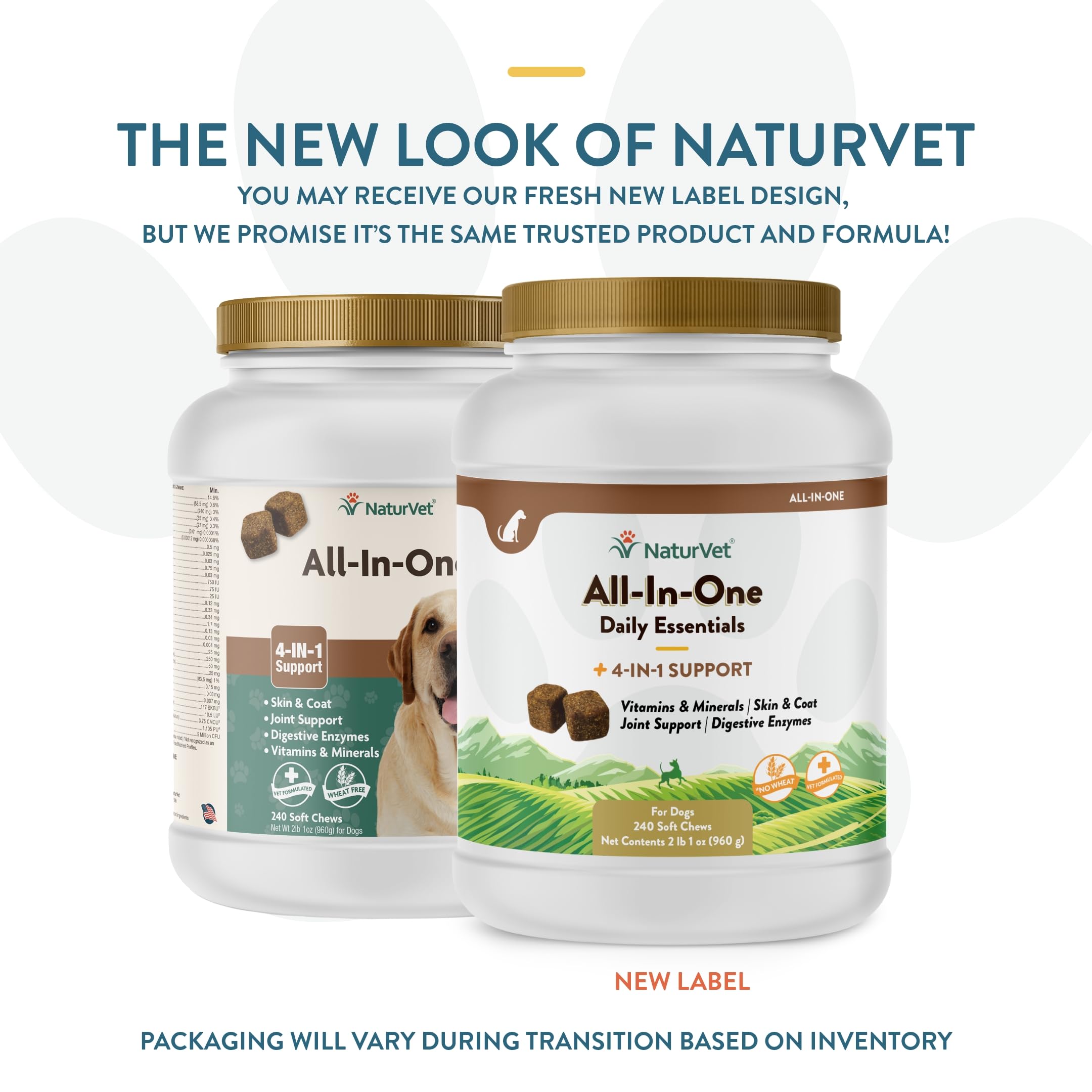 NaturVet All-in-One dog supplement supports healthy skin and coat with Omega fatty acids.