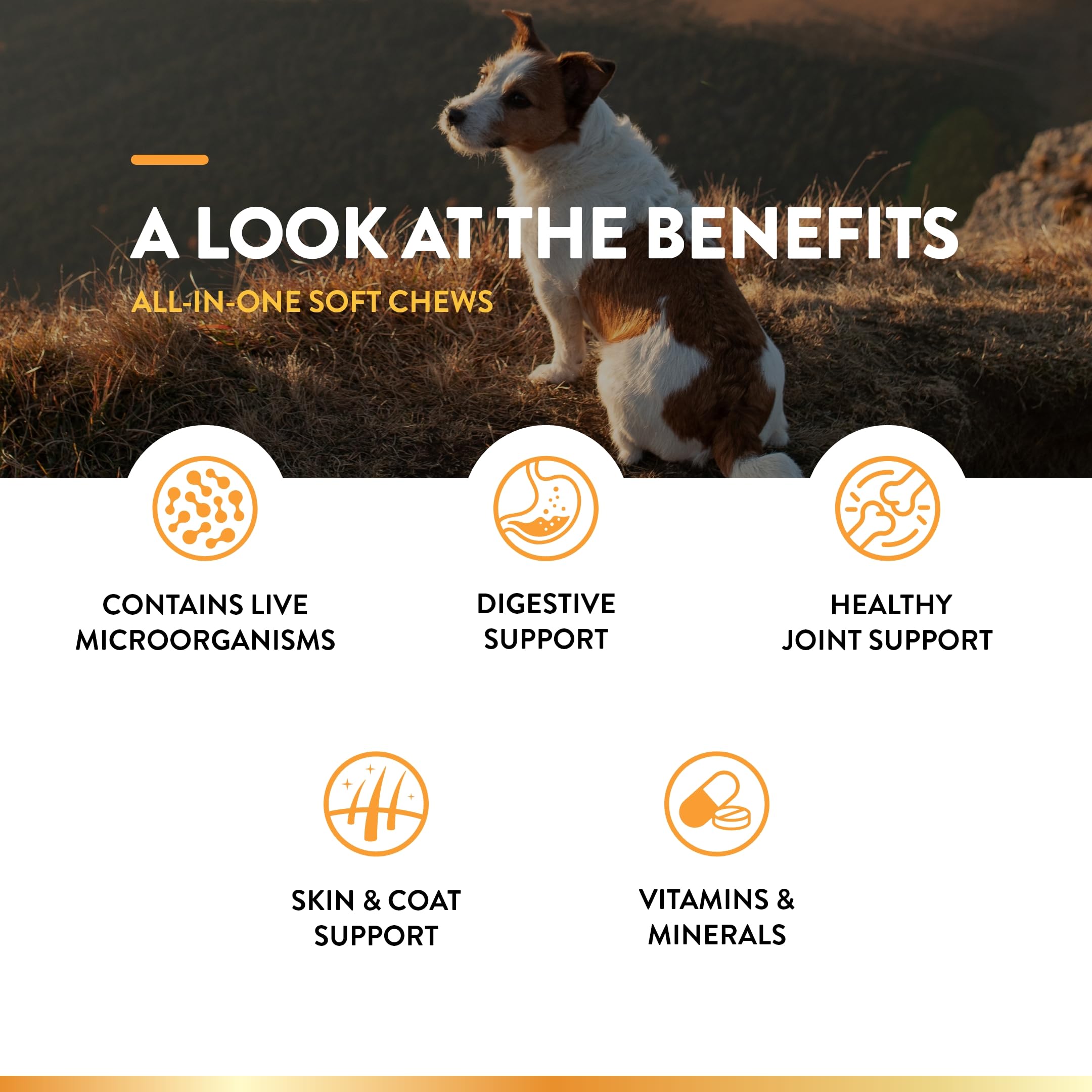 NaturVet All-in-One dog supplement comes as tasty soft chews your dog will enjoy.