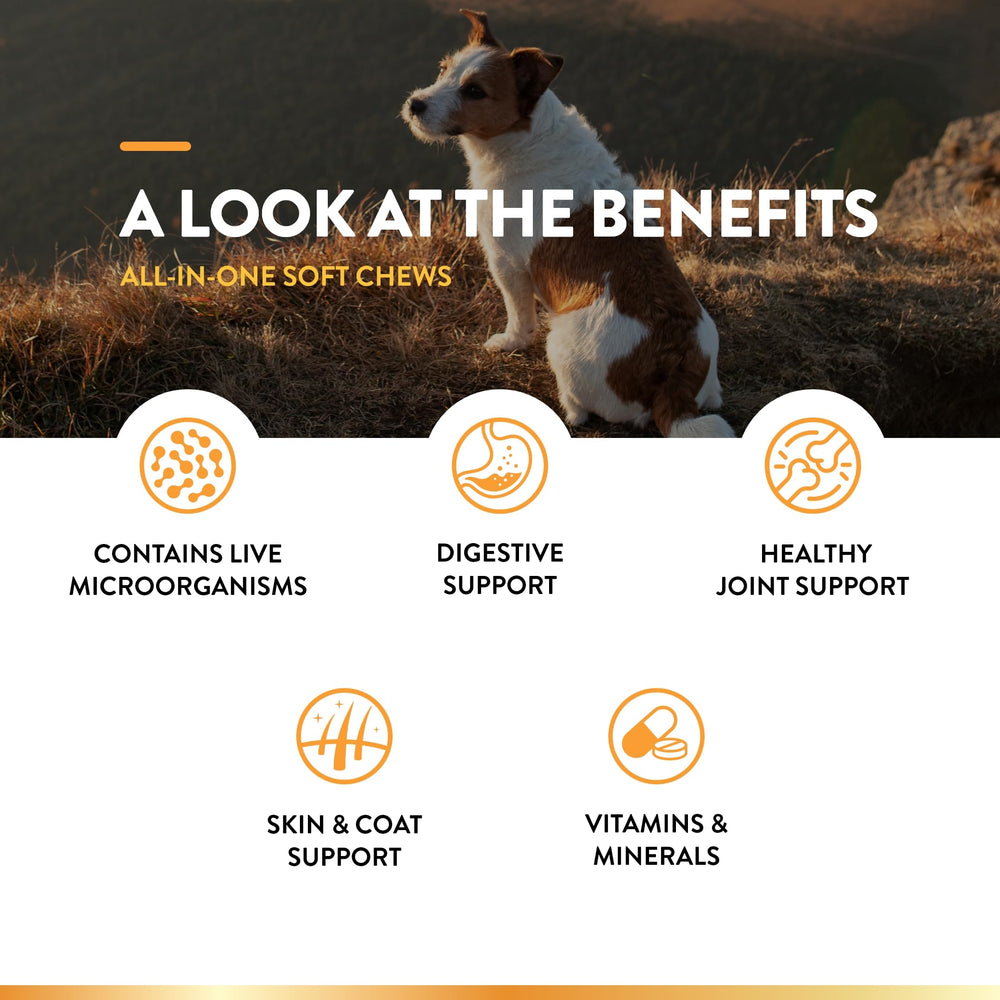 NaturVet All-in-One dog supplement comes as tasty soft chews your dog will enjoy.