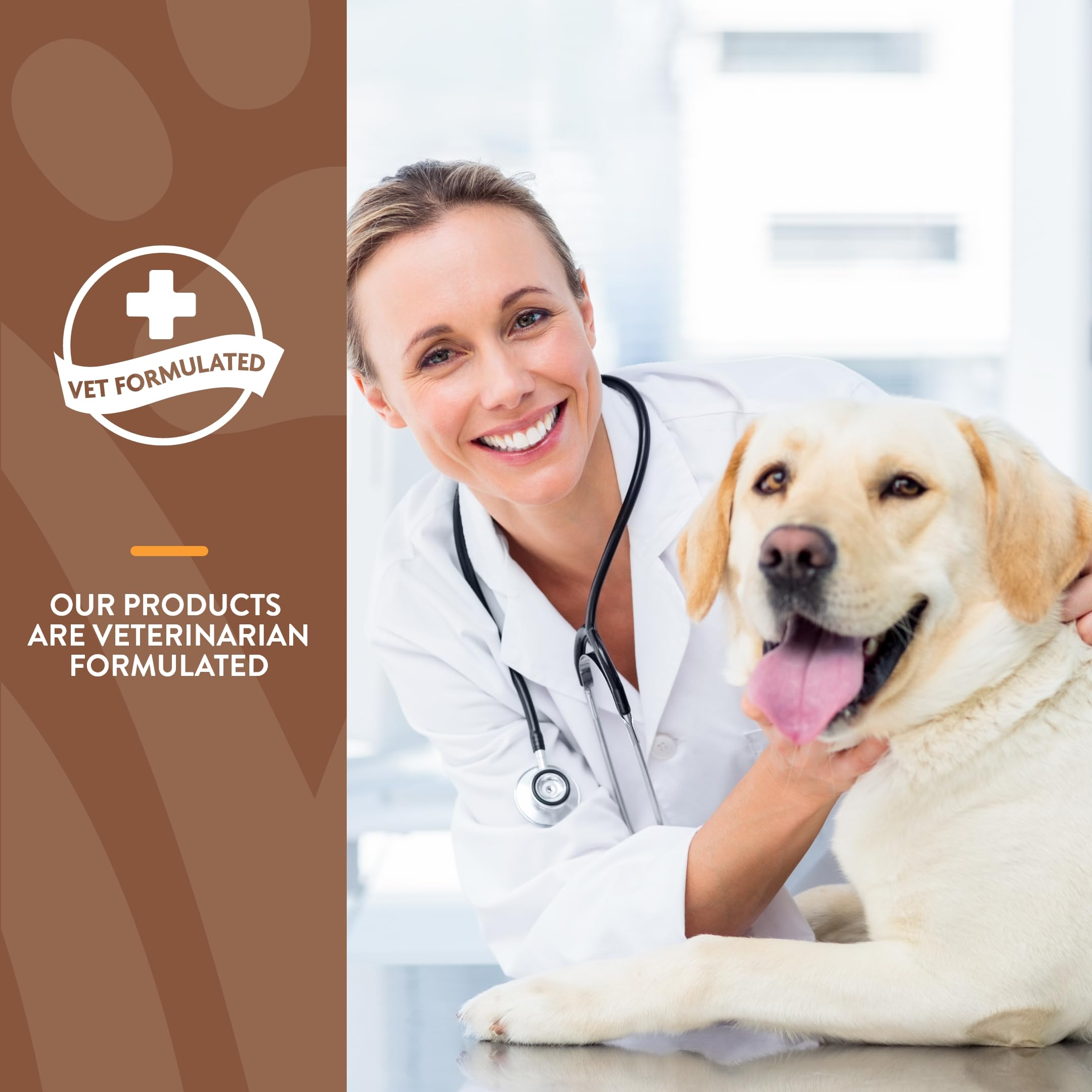 NaturVet All-in-One dog supplement manufactured in the USA for trusted quality.