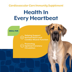 NaturVet antioxidants, L-Carnitine and Hawthorn blend for heart health.