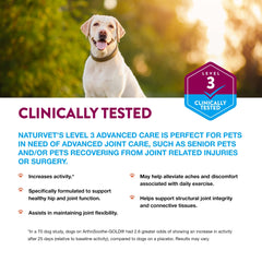 NaturVet ArthriSoothe-GOLD Level 3 cat chew supports comfortable movement