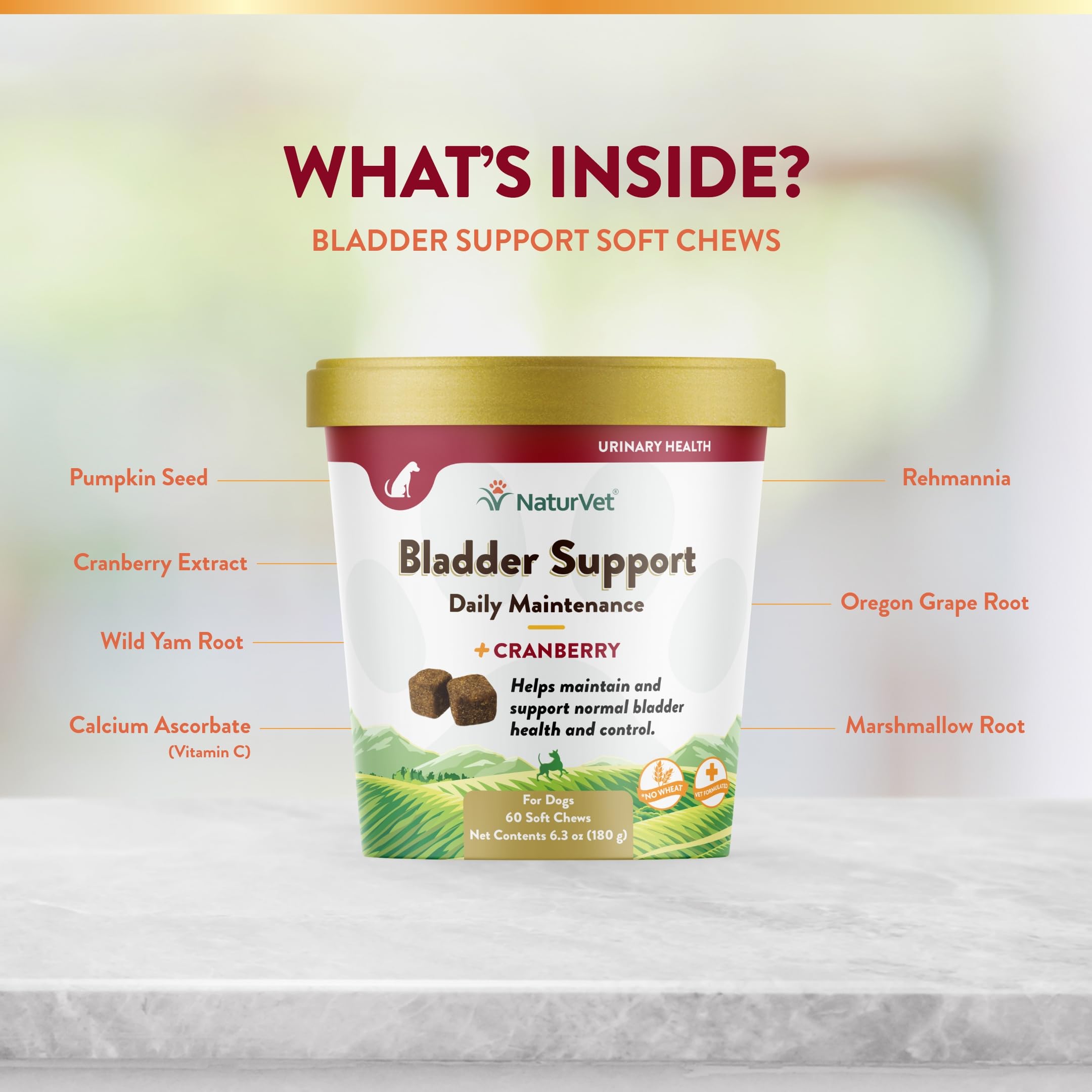 NaturVet bladder support plus cranberry 60-count bottle—simple daily routine.