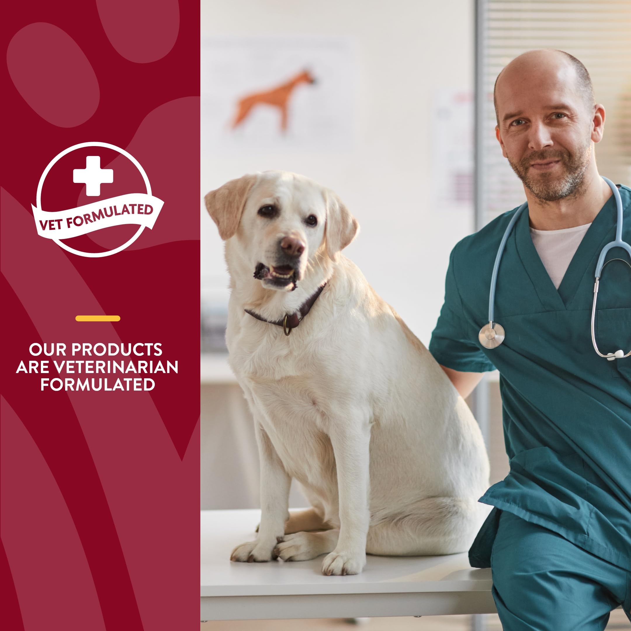 NaturVet bladder support plus cranberry chew closeup—easy-to-administer daily dose for dogs.