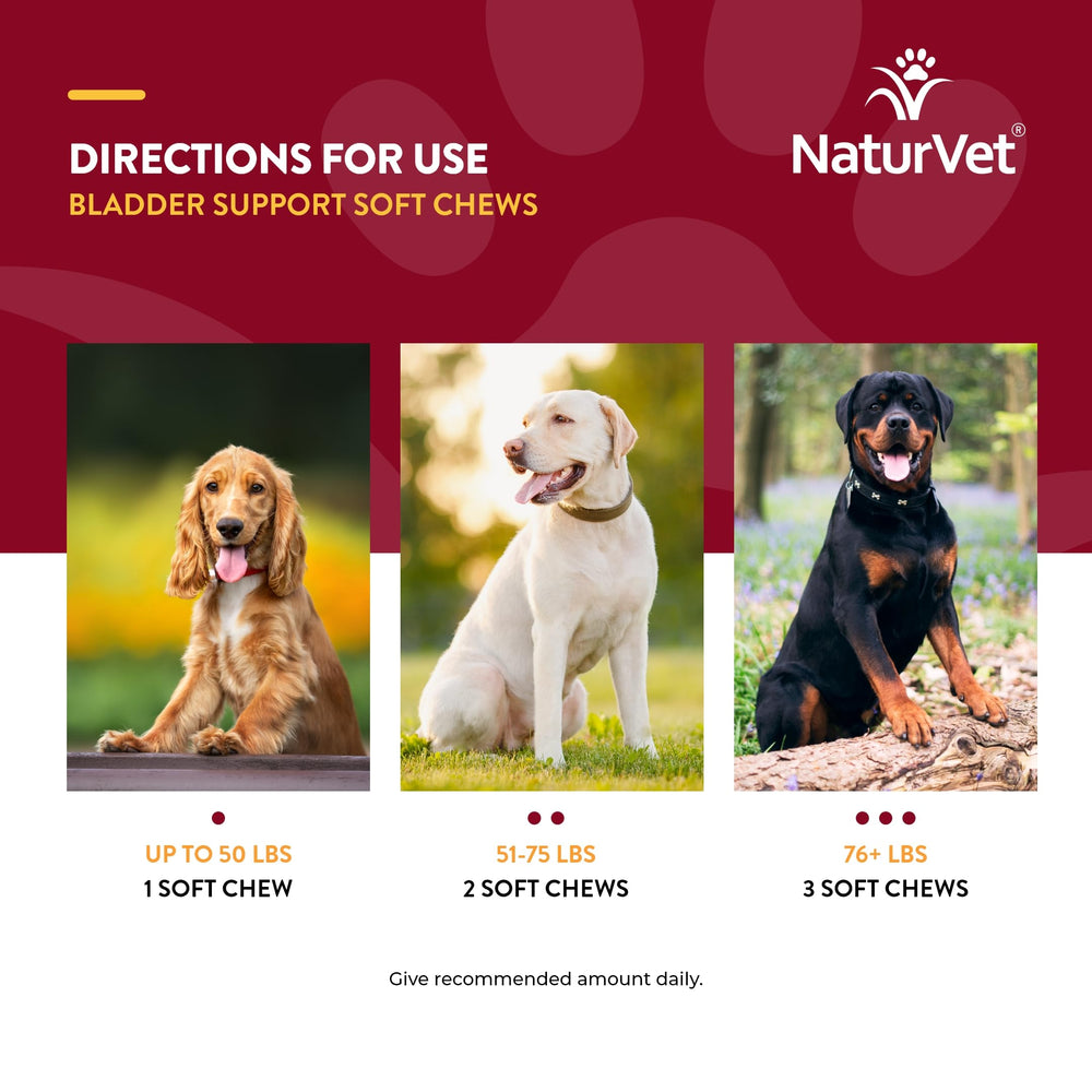 NaturVet bladder support plus cranberry aroma closeup—gentle, inviting scent for dog acceptance.