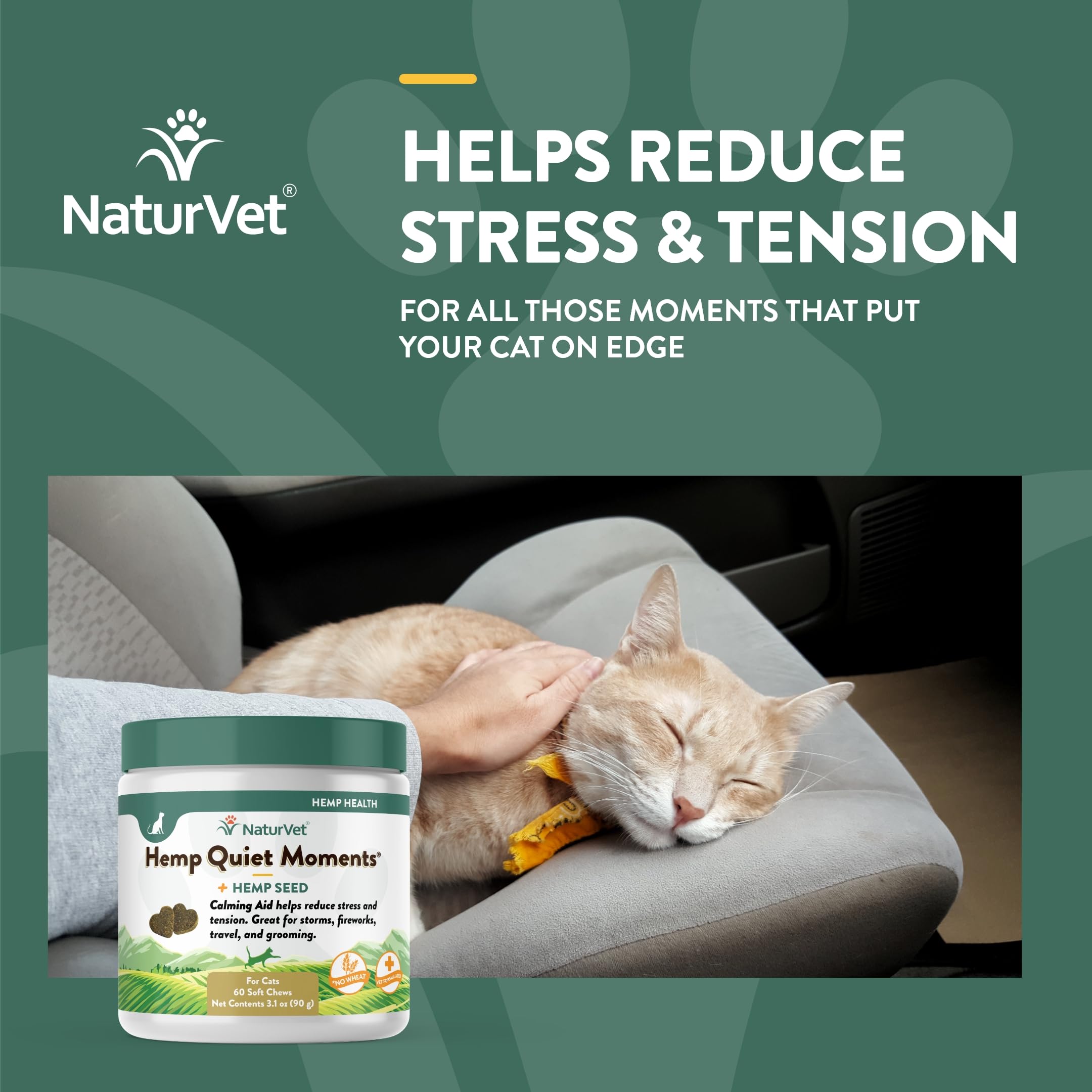 Cat relaxing on a sofa, demonstrating potential calming support.