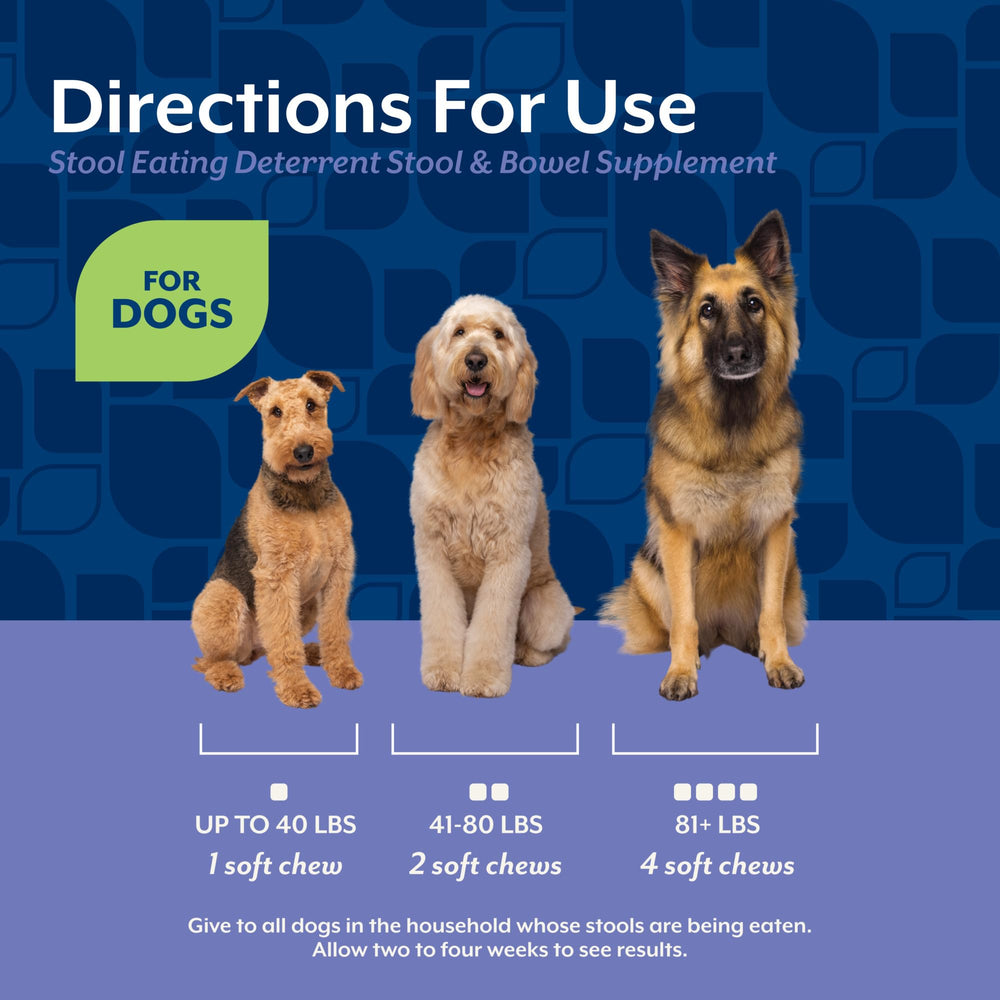 NaturVet Coprophagia Deterrent packaging highlights GI balance and sensitive stomach support.