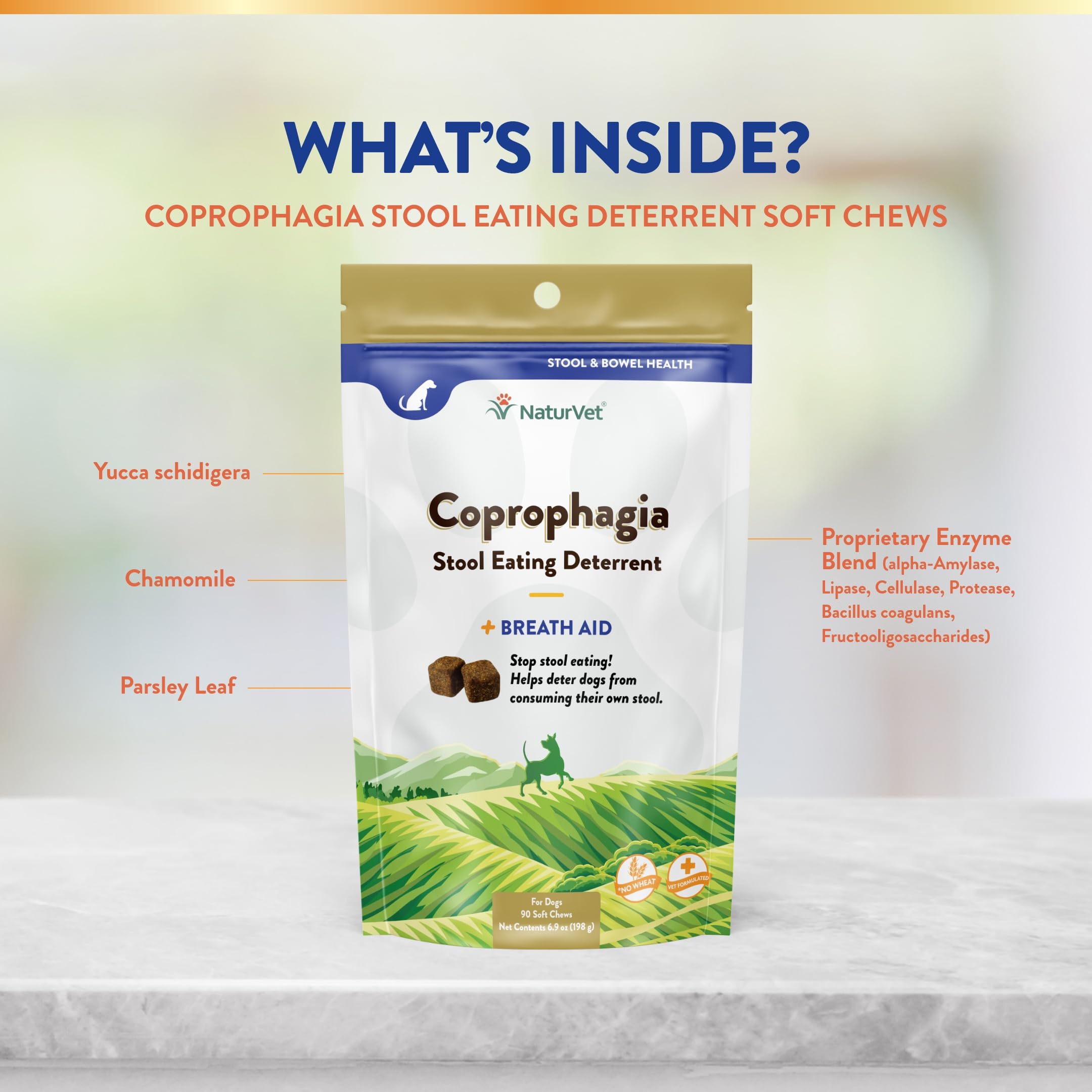 NaturVet Coprophagia Deterrent Soft Chews digestive support through enzymes and probiotics.