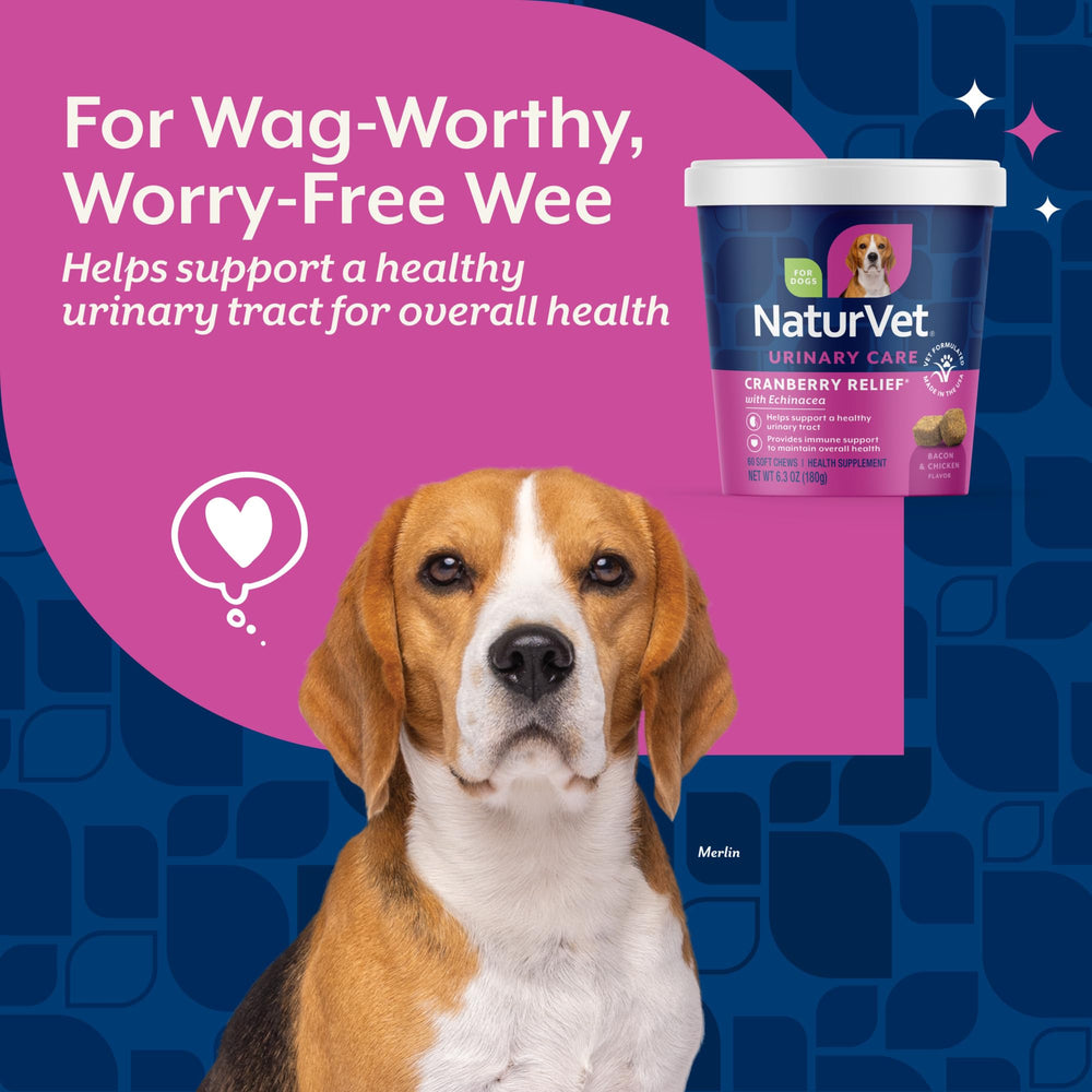 NaturVet Cranberry Relief Plus Echinacea being given to dog during treat time for urinary support.