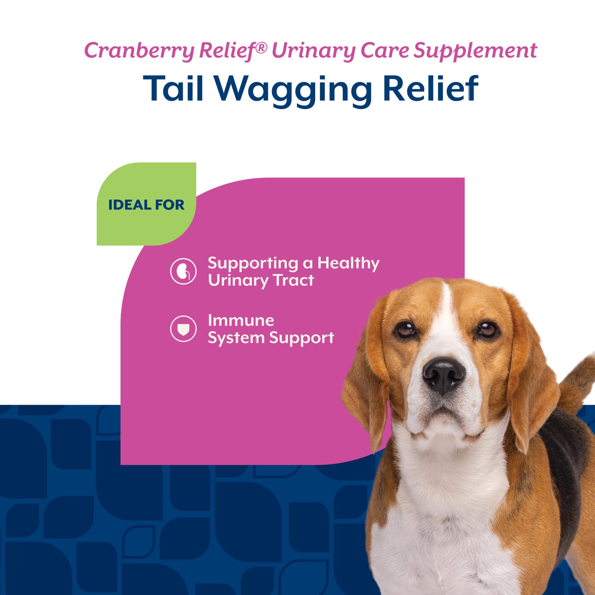 NaturVet Cranberry Relief Plus Echinacea dog sniffing chews near bowl