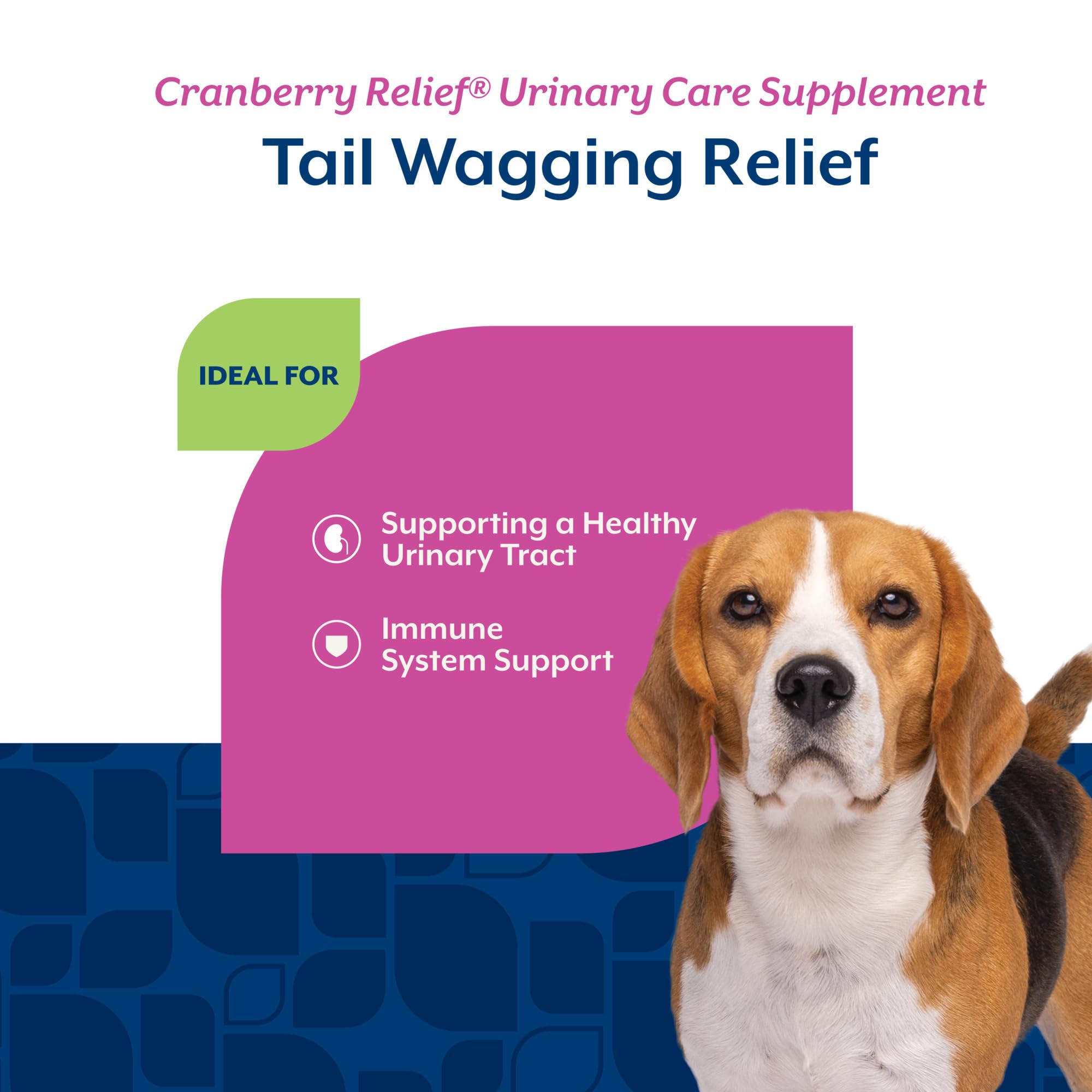 NaturVet Cranberry Relief Plus Echinacea label close-up displaying cranberry and echinacea ingredients for urinary and immune support.