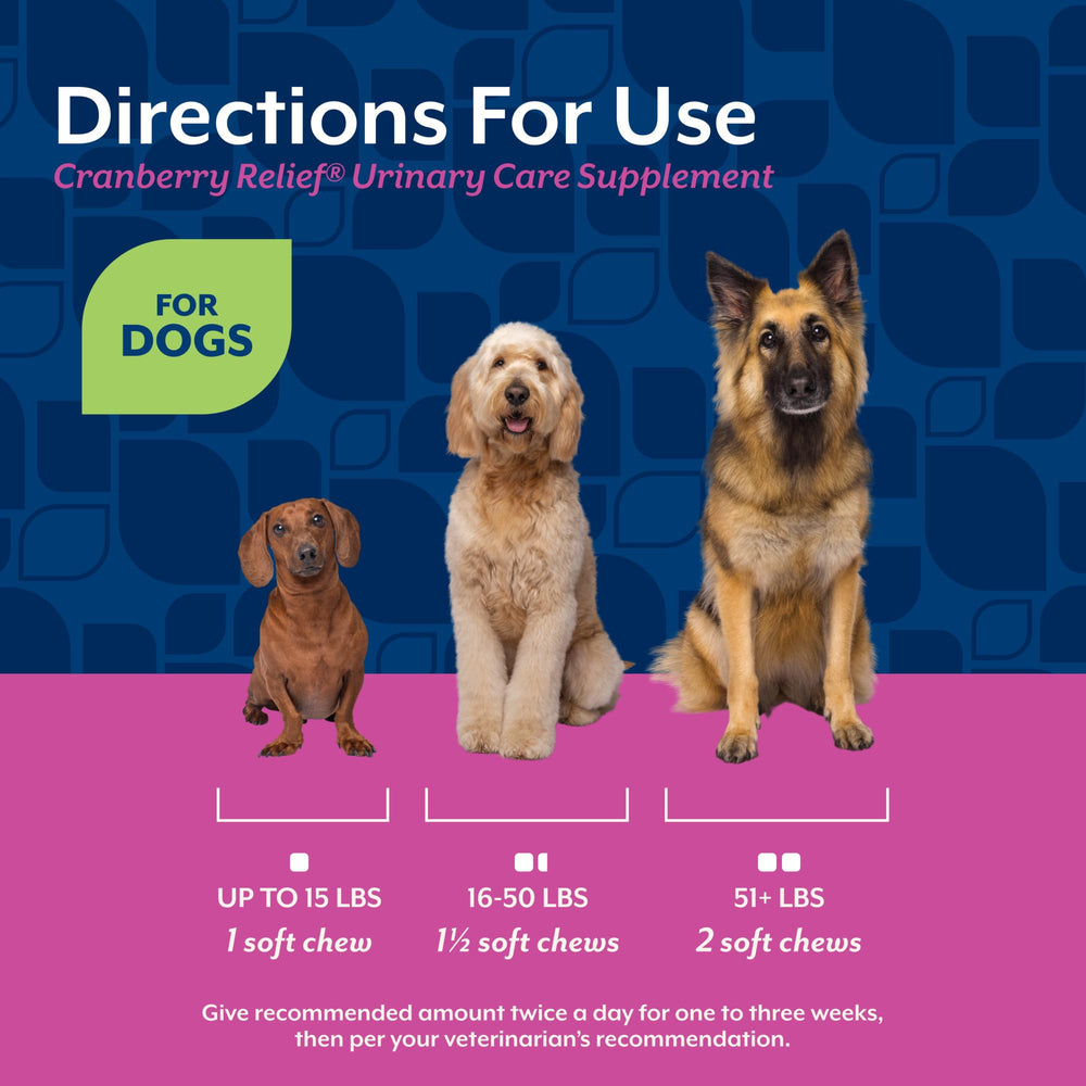 NaturVet Cranberry Relief Plus Echinacea packaging on shelf emphasizing wheat-free formula.