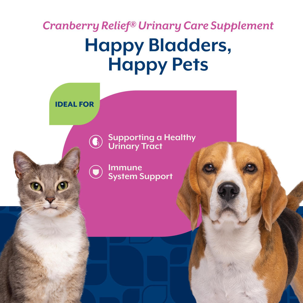 NaturVet Cranberry Relief Powder tub closeup highlights powder texture and quality.
