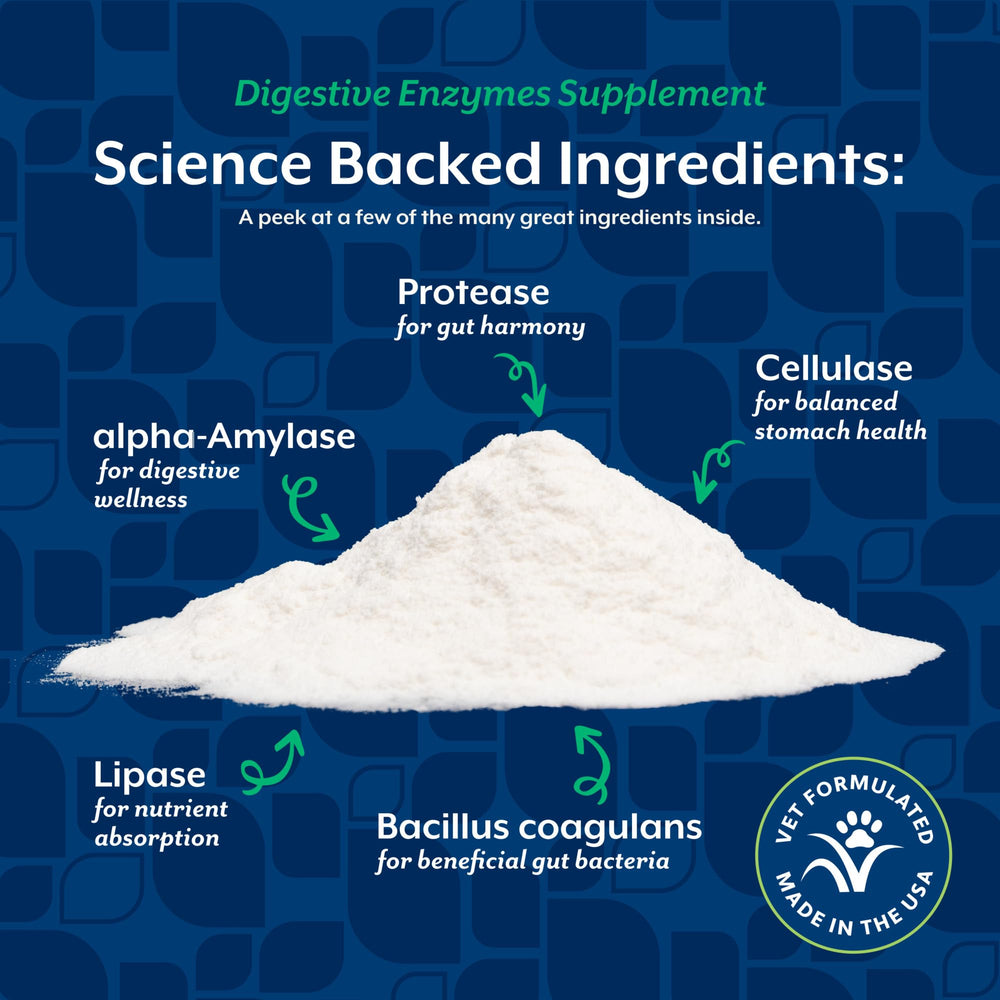 NaturVet digestive enzymes bottle closeup emphasizes veterinarian-formulated foundation.