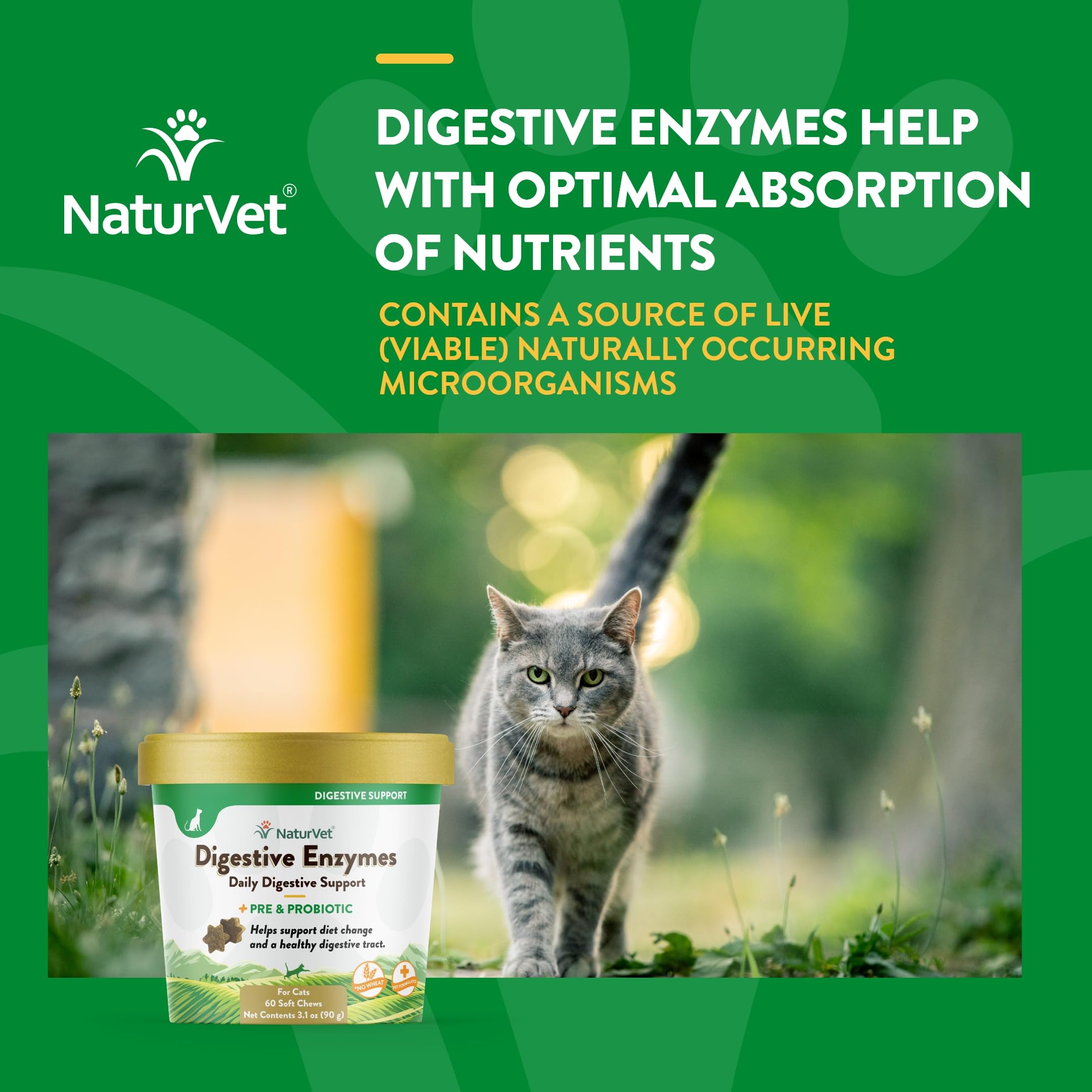 NaturVet Digestive Enzymes bottle dispensing chews during feeding