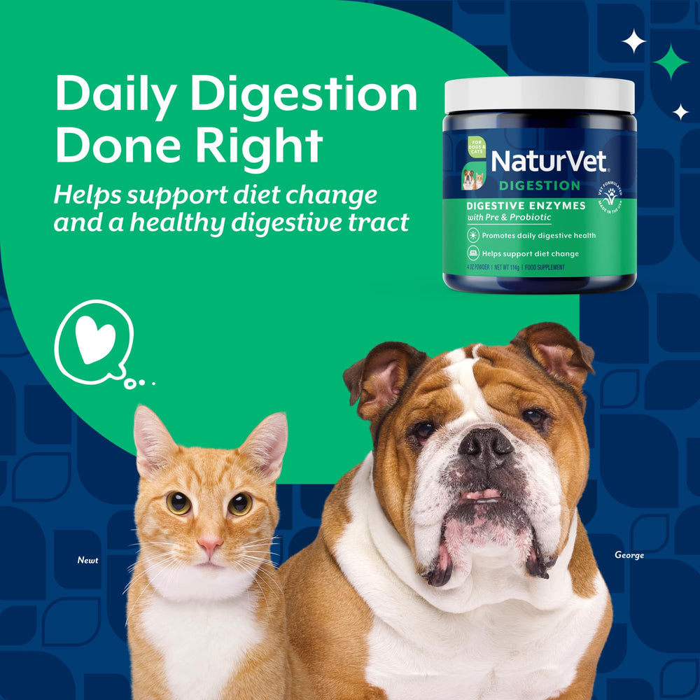 NaturVet digestive enzymes dogs powder dish; easy mixing for meals.