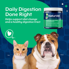 NaturVet digestive enzymes dogs powder dish; easy mixing for meals.