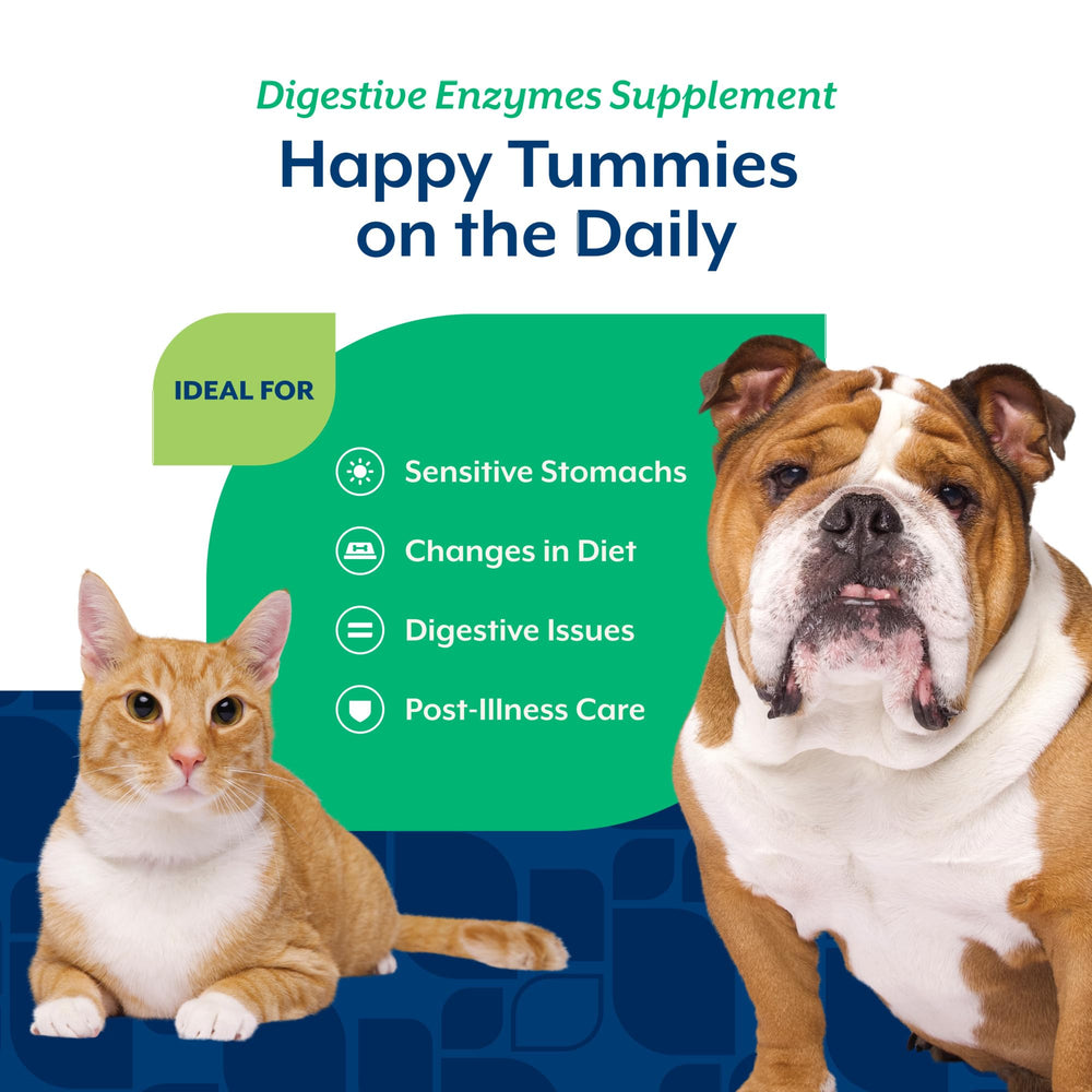 NaturVet digestive enzymes ingredients close-up highlights probiotics and prebiotics for gut balance.