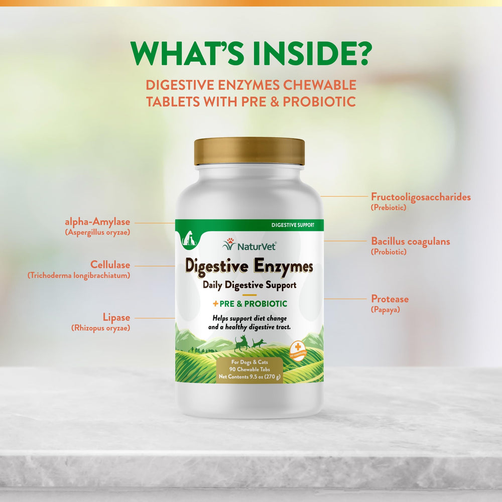 NaturVet soft chews aroma and texture suggest easy administration at meals