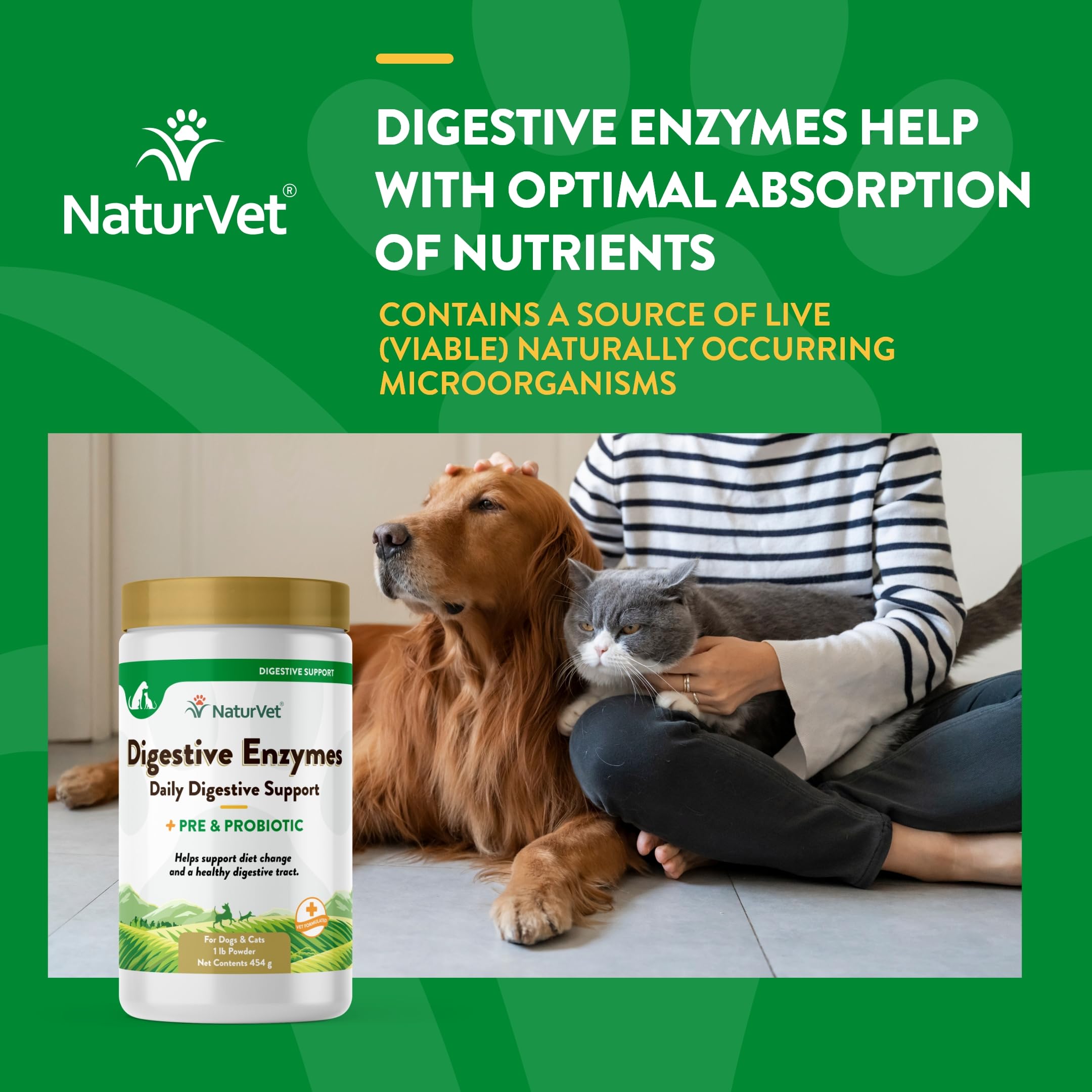 NaturVet Digestive Enzymes powder served to a cat bowl for gentle digestion support