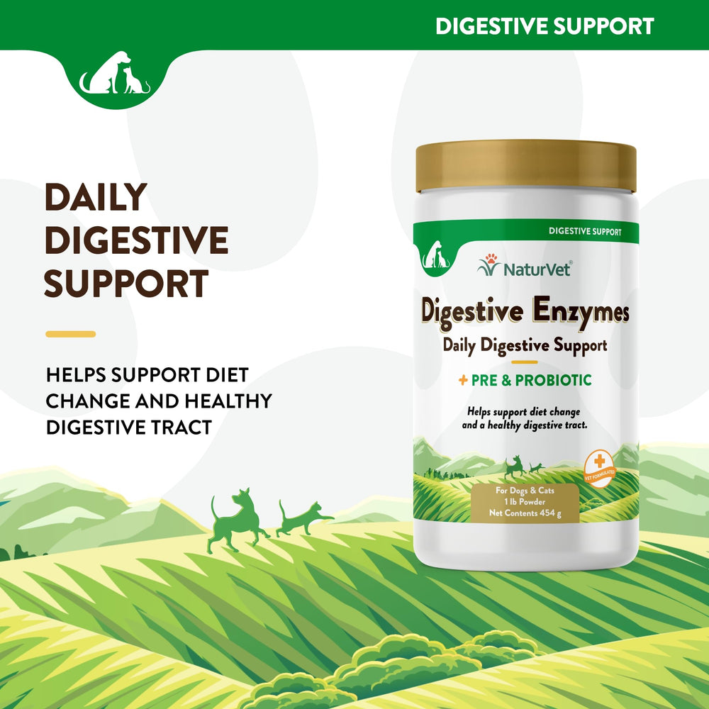 NaturVet Digestive Enzymes powder poured into a dog bowl for meal-time digestion support
