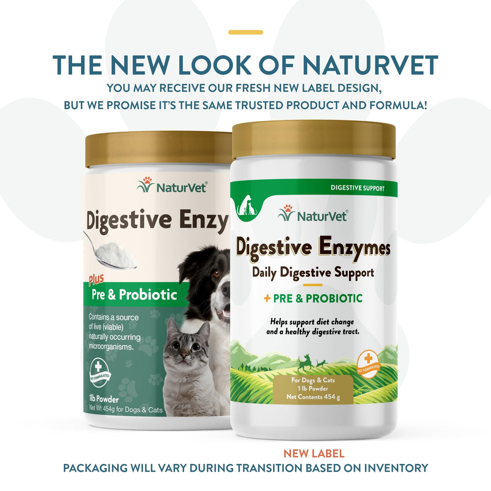 NaturVet Digestive Enzymes powder dosing scoop demonstrates easy-to-measure servings for consistent digestion support