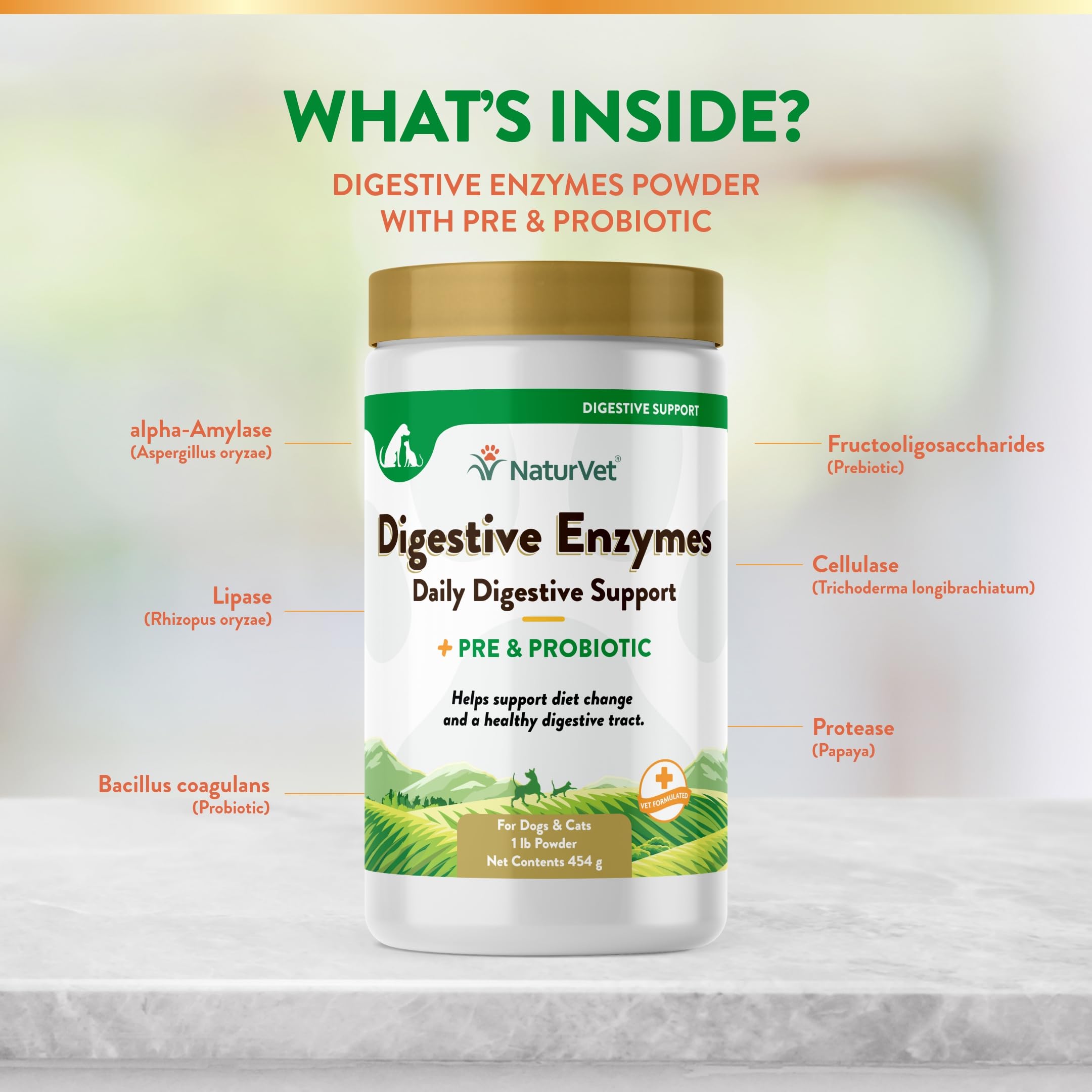 NaturVet digestive enzymes powder mixed with kibble to ease dietary transitions