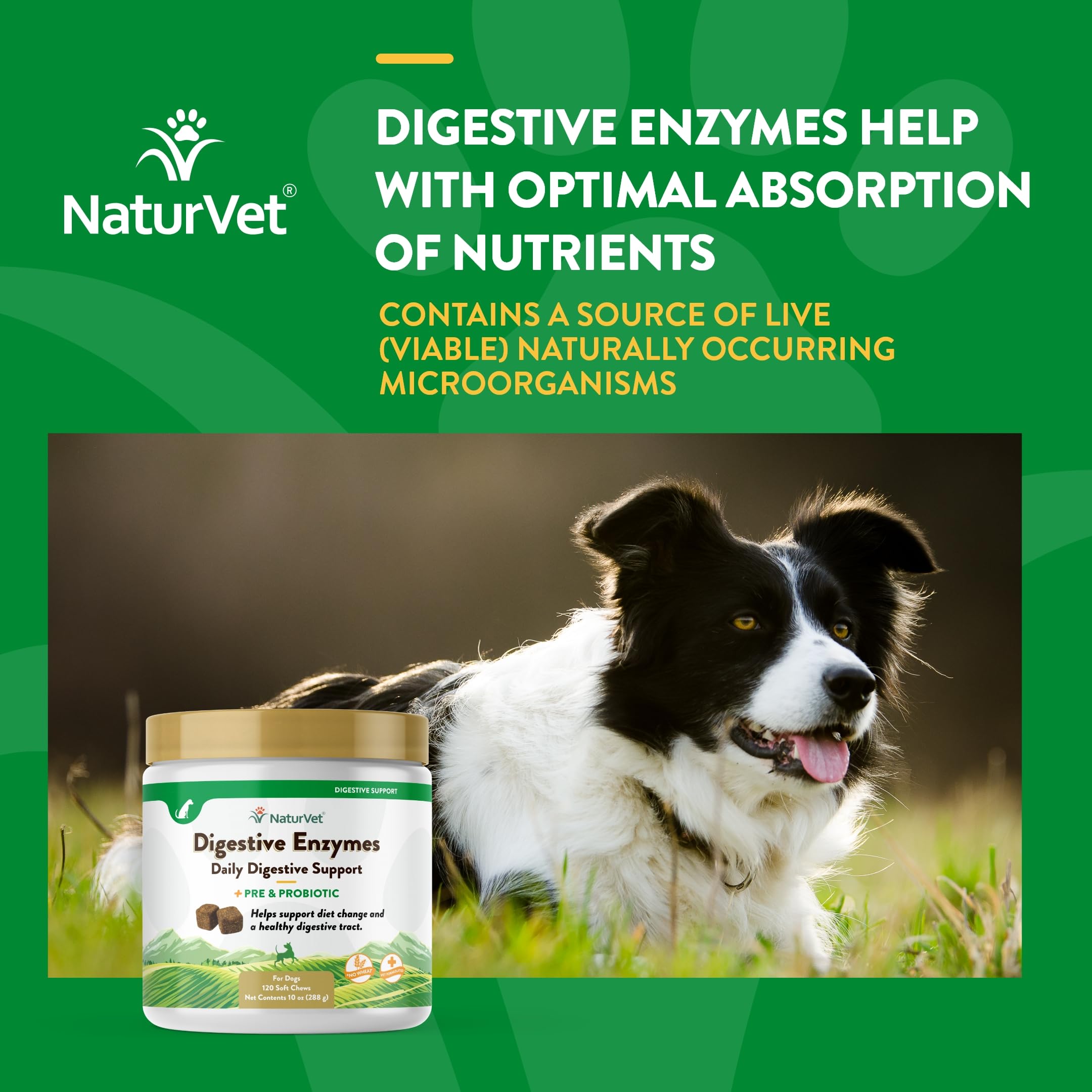 NaturVet Digestive Enzymes Plus Probiotics Soft Chews serving suggestions with pets at home.
