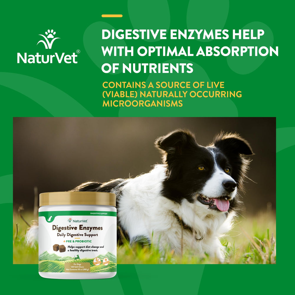 NaturVet Digestive Enzymes Plus Probiotics Soft Chews serving suggestions with pets at home.