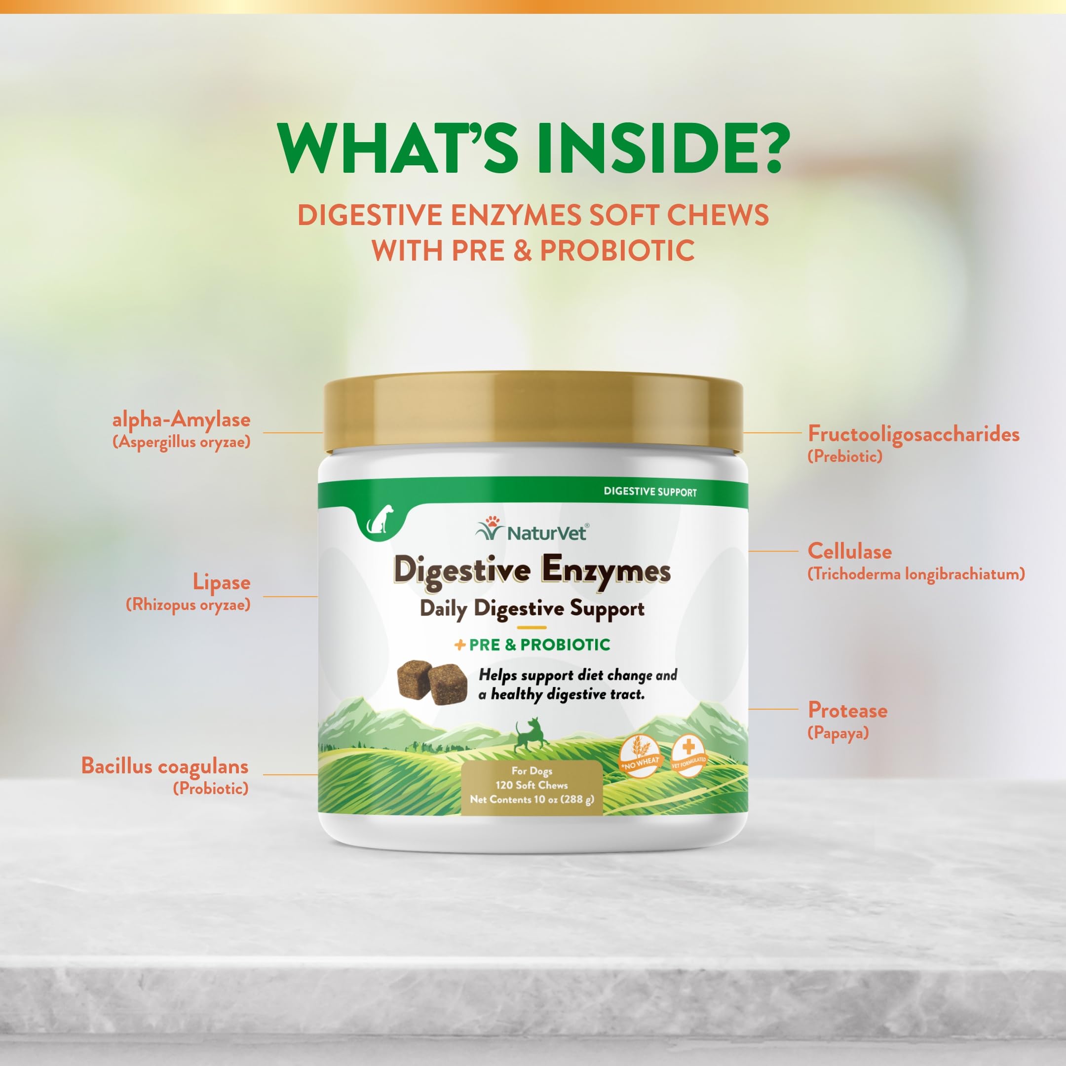 NaturVet Digestive Enzymes Plus Probiotics Soft Chews texture close-up shows chews dogs enjoy, easy administration.