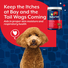 NaturVet dog-eating-soft-chew shows a tasty allergy supplement use case.