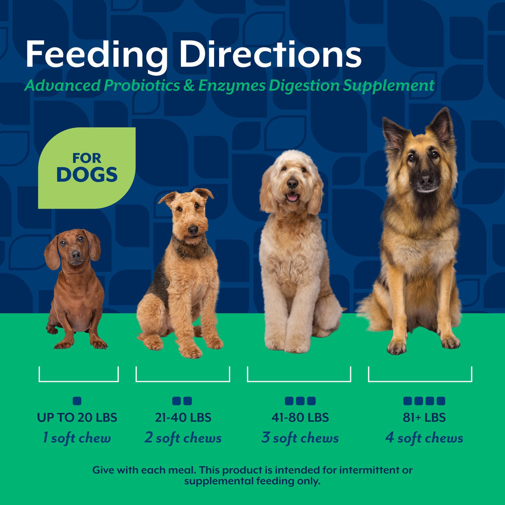 NaturVet dog health nose-to-tail support emphasizes overall wellness.