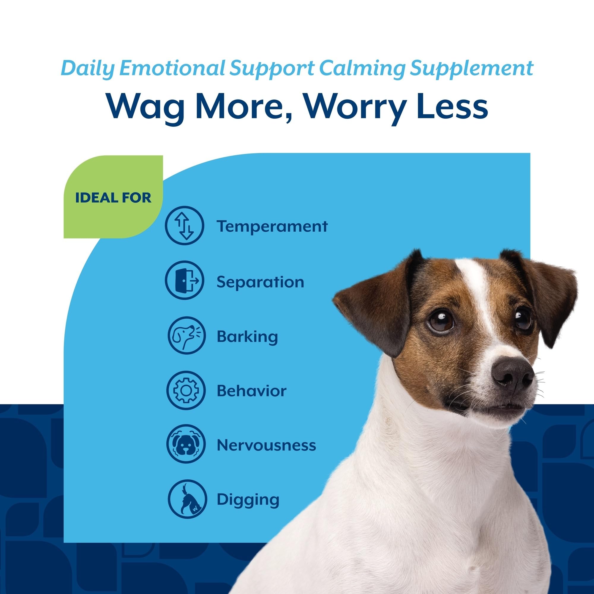 NaturVet calming aid helps dogs stay calm during separation and travel scenarios.