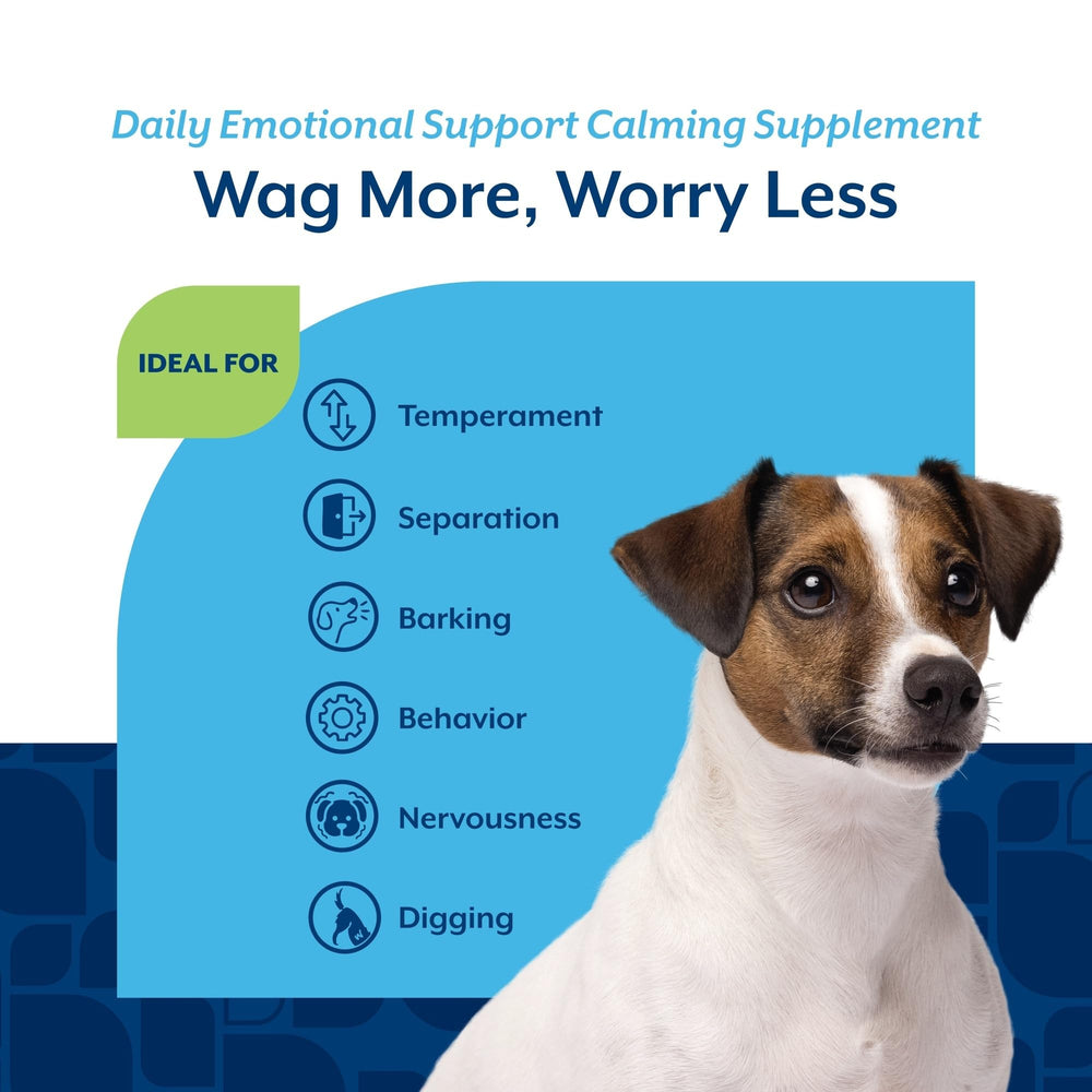 NaturVet calming aid helps dogs stay calm during separation and travel scenarios.
