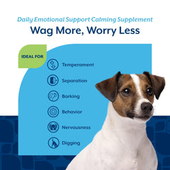 NaturVet calming aid helps dogs stay calm during separation and travel scenarios.